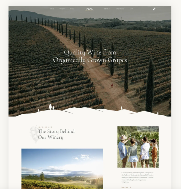 Winery or Wine Shop E-commerce Website - Image 4